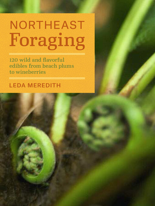 Title details for Northeast Foraging by Leda Meredith - Available